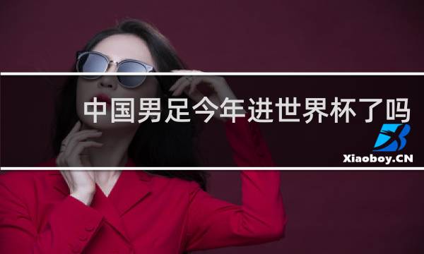 中国男足今年进世界杯了吗