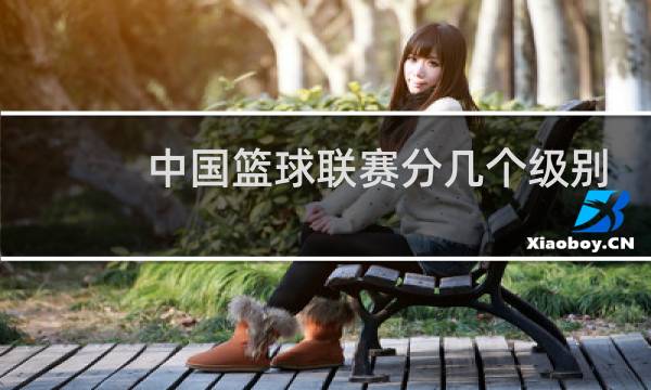 中国篮球联赛分几个级别