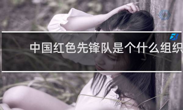 中国红色先锋队是个什么组织