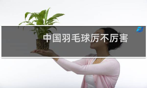 中国羽毛球厉不厉害