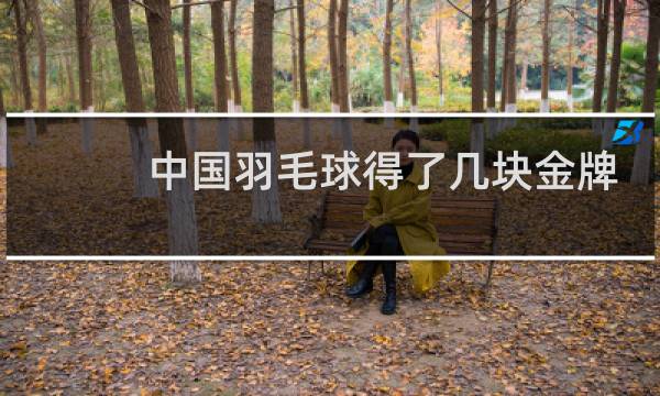 中国羽毛球得了几块金牌