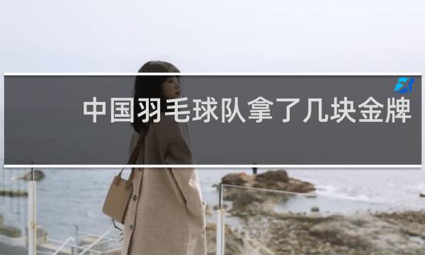 中国羽毛球队拿了几块金牌