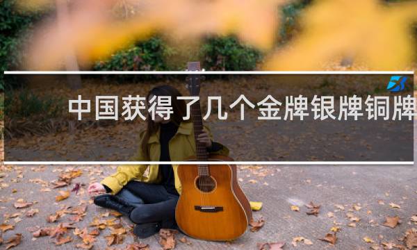 中国获得了几个金牌银牌铜牌
