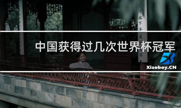 中国获得过几次世界杯冠军