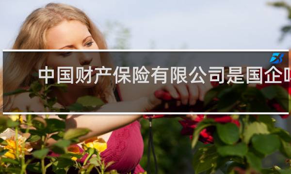 中国财产保险有限公司是国企吗