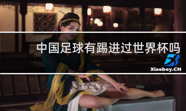 中国足球有踢进过世界杯吗