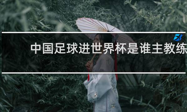 中国足球进世界杯是谁主教练