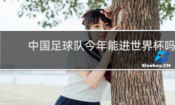 中国足球队今年能进世界杯吗