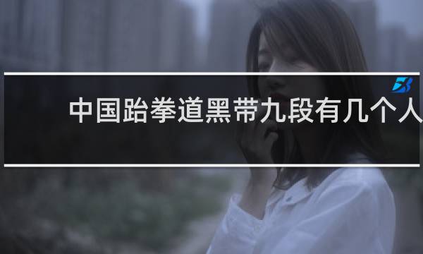 中国跆拳道黑带九段有几个人