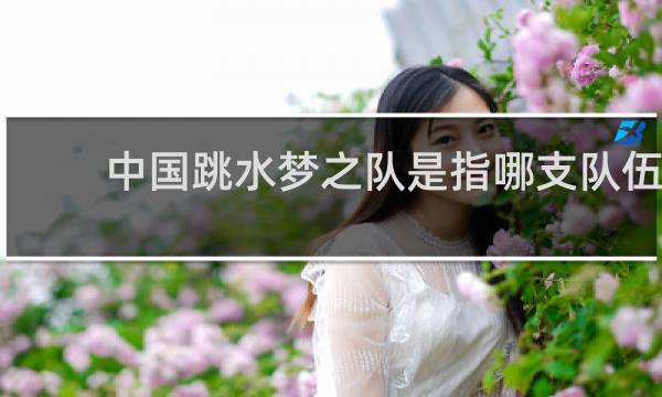 中国跳水梦之队是指哪支队伍