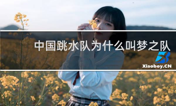 中国跳水队为什么叫梦之队