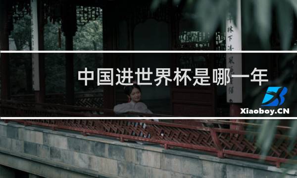 中国进世界杯是哪一年