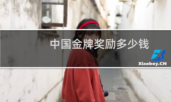 中国金牌奖励多少钱