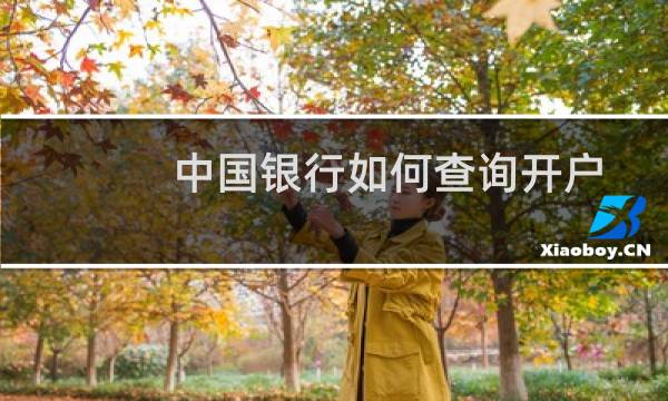 中国银行如何查询开户行网点名称