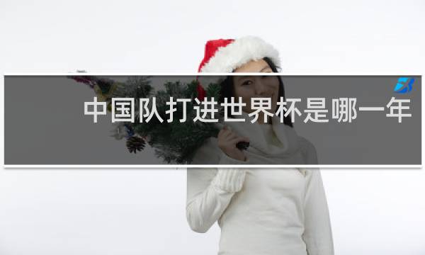 中国队打进世界杯是哪一年