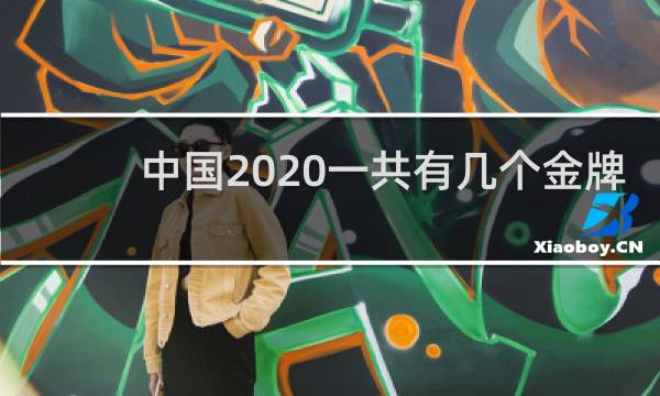 中国2020一共有几个金牌