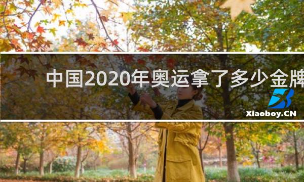 中国2020年奥运拿了多少金牌