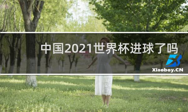 中国2021世界杯进球了吗