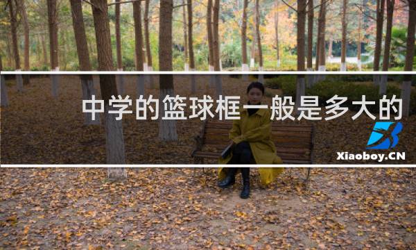 中学的篮球框一般是多大的