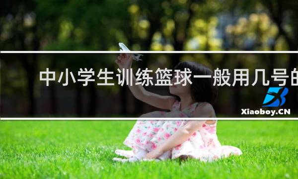 中小学生训练篮球一般用几号的
