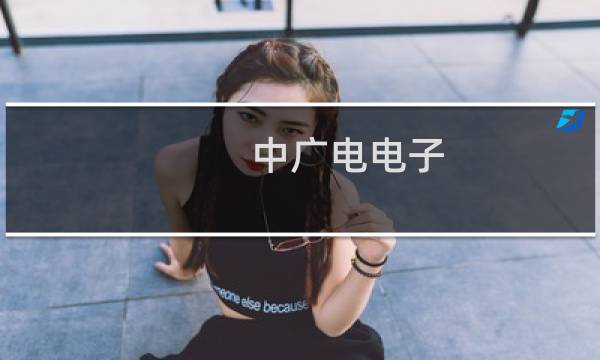中广电电子