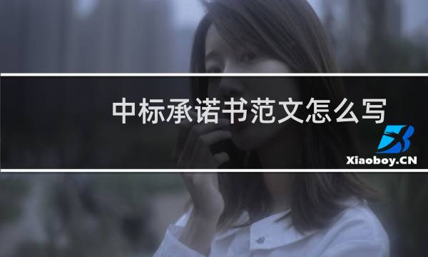中标承诺书范文怎么写