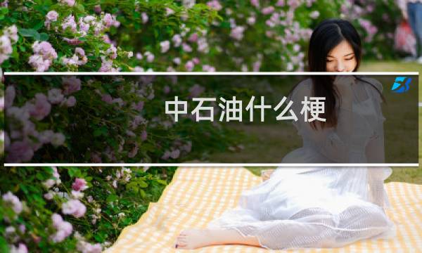 中石油什么梗