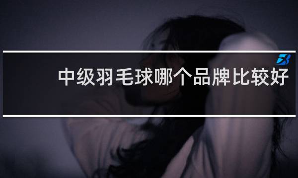 中级羽毛球哪个品牌比较好