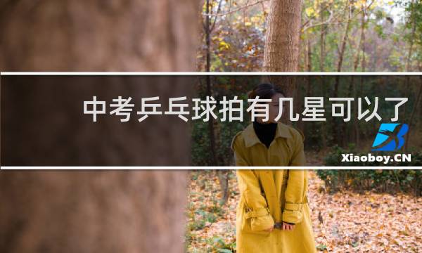中考乒乓球拍有几星可以了