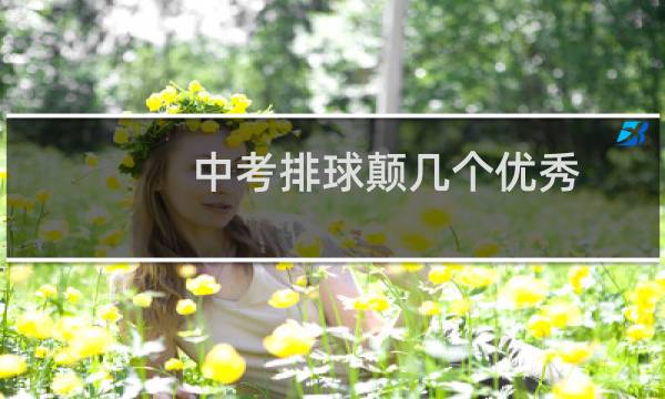 中考排球颠几个优秀