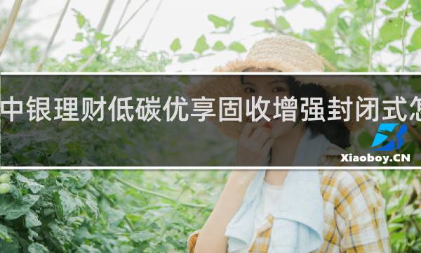 中银理财低碳优享固收增强封闭式怎么样