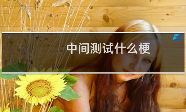 中间测试什么梗