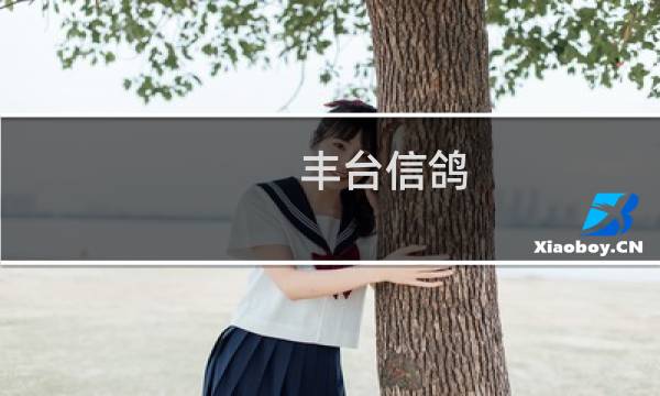 丰台信鸽
