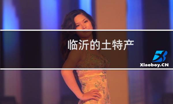 临沂的土特产图片