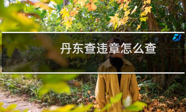 丹东查违章怎么查（丹东电子眼违章查询）图片