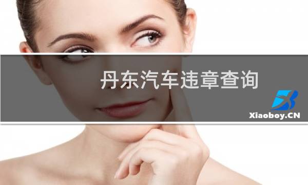 丹东汽车违章查询(丹东小车违章查询)