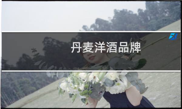 丹麦洋酒品牌图片