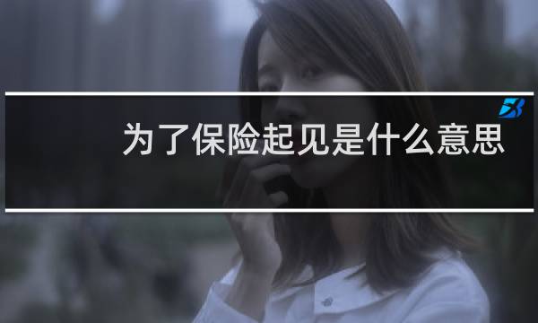 为了保险起见是什么意思