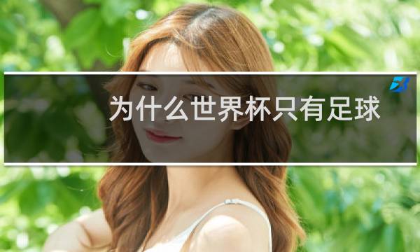 为什么世界杯只有足球