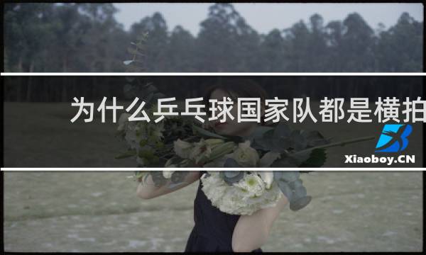 为什么乒乓球国家队都是横拍