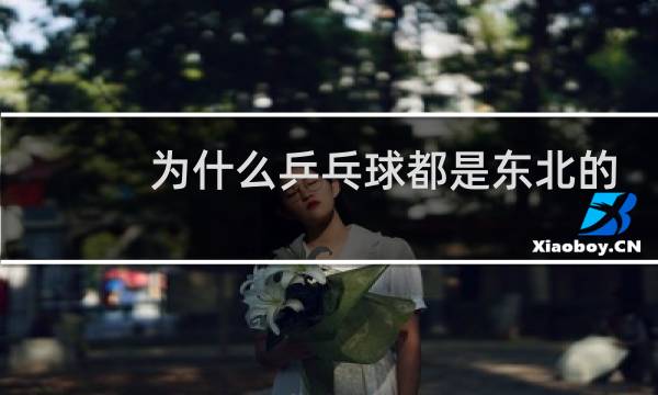 为什么乒乓球都是东北的