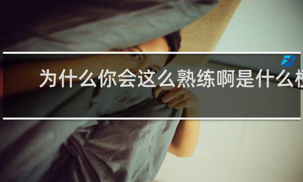 为什么你会这么熟练啊是什么梗，就是这句台词让我记住了整部动漫什么梗