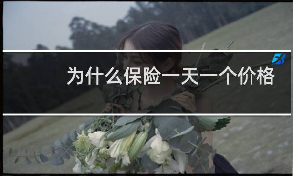为什么保险一天一个价格