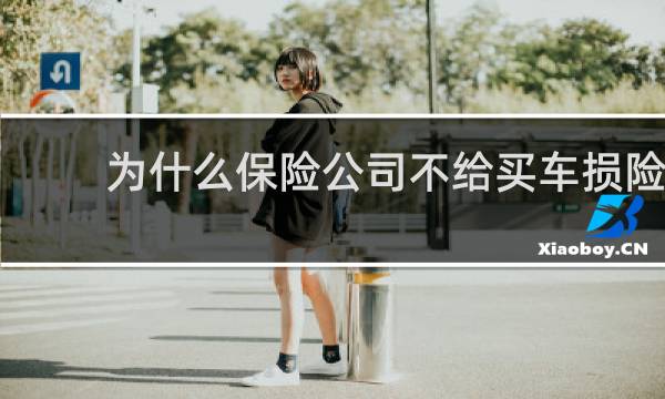 为什么保险公司不给买车损险