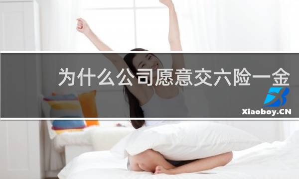 为什么公司愿意交六险一金图片