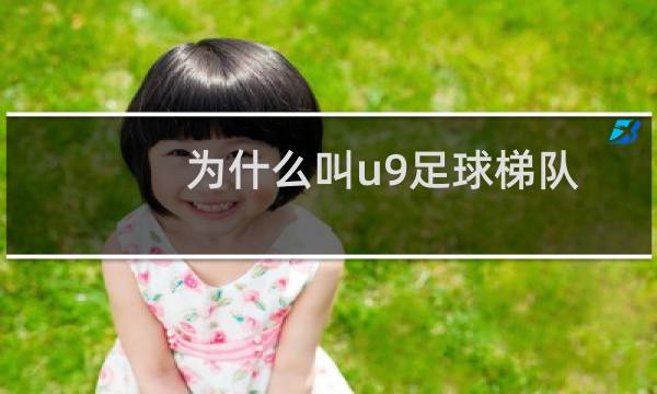 为什么叫u9足球梯队