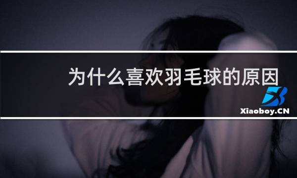 为什么喜欢羽毛球的原因