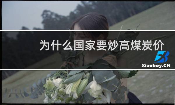 为什么国家要炒高煤炭价格图片