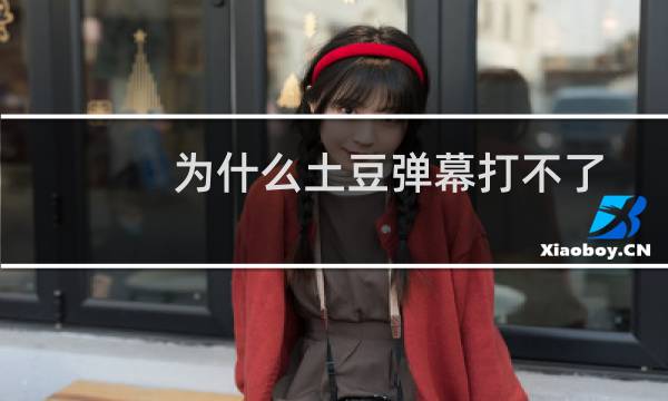 为什么土豆弹幕打不了字?土豆弹幕打不了中文的解决方法