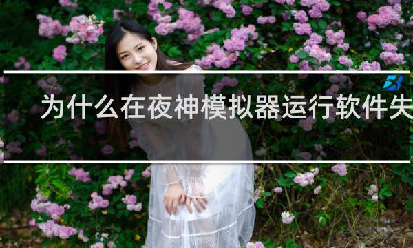 为什么在夜神模拟器运行软件失败
